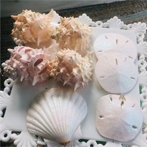 NEW! 🎄Pink White Seashell Christmas Tree Ornaments S/8